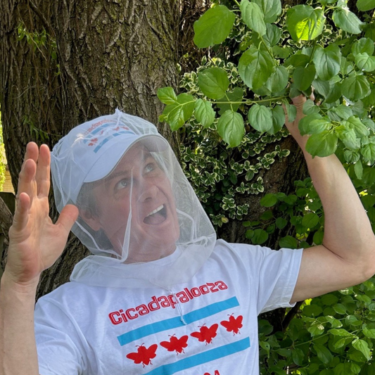 A man stands in front of a large tree with his hands up making a face indicating he's afraid. On his head, he wears a baseball cap with netting over it to protect him from cicadas. His t-shirt and the cap have the text "Cicadapalooza" and the Chicago flag with the four stars replaced by cute, red cicadas.